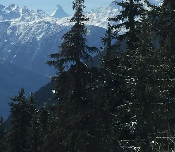 Haus Brunnen 아파트 리더알프